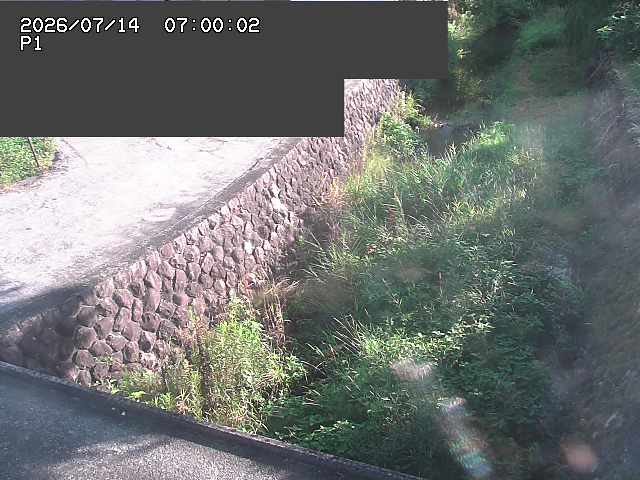 新興寺谷川１2026/07/14 15:20:00