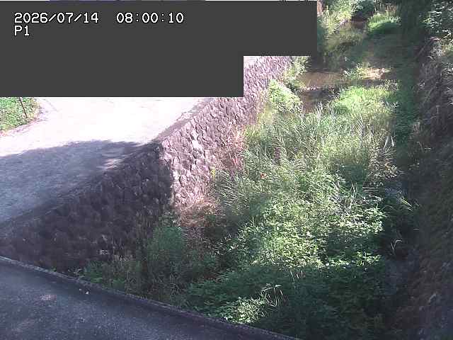 新興寺谷川１2026/07/14 15:20:00