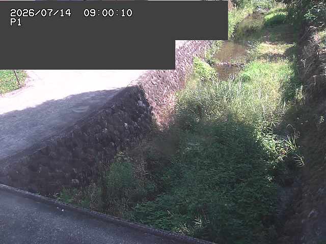 新興寺谷川１2026/07/14 15:20:00