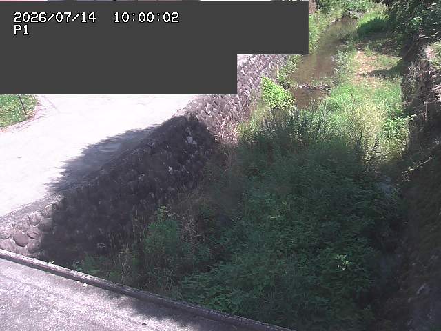 新興寺谷川１2026/07/14 15:20:00