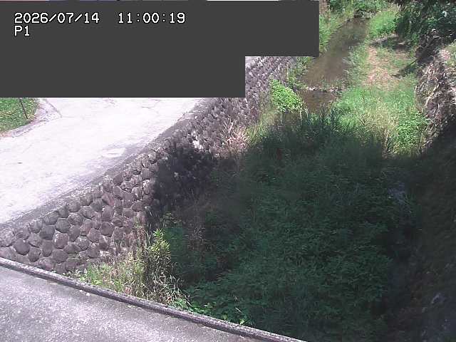 新興寺谷川１2026/07/14 15:20:00