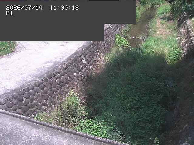 新興寺谷川１2026/07/14 15:20:00
