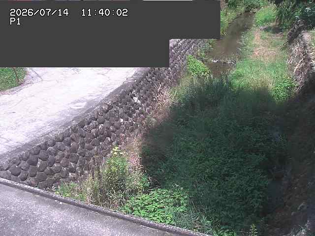 新興寺谷川１2026/07/14 15:20:00