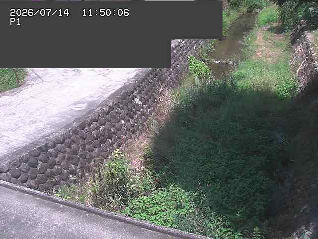 新興寺谷川１2026/07/14 15:20:00
