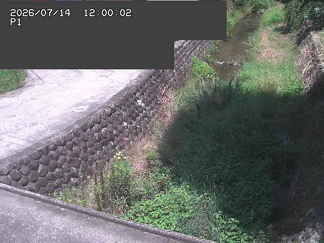 新興寺谷川１2026/07/14 15:20:00