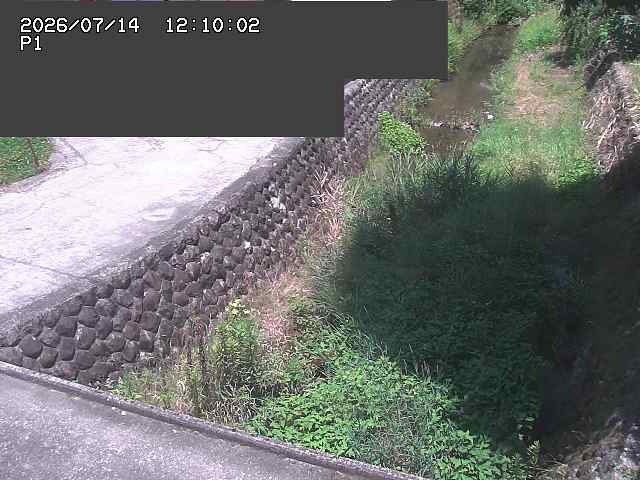 新興寺谷川１2026/07/14 15:20:00