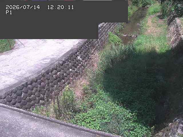 新興寺谷川１2026/07/14 15:20:00