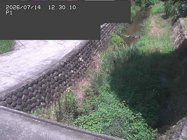 新興寺谷川１2026/07/14 15:20:00