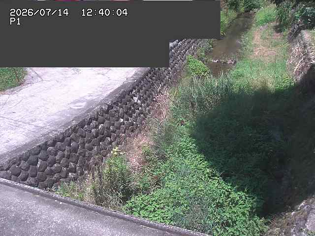 新興寺谷川１2026/07/14 15:20:00
