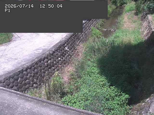 新興寺谷川１2026/07/14 15:20:00