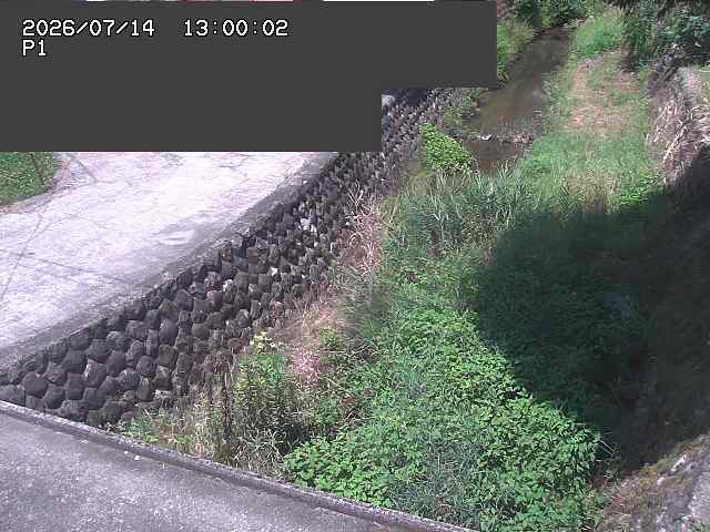 新興寺谷川１2026/07/14 15:20:00