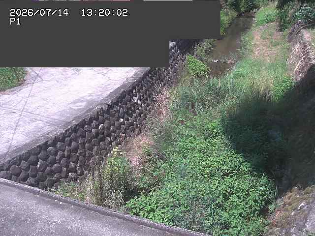 新興寺谷川１2026/07/14 15:20:00