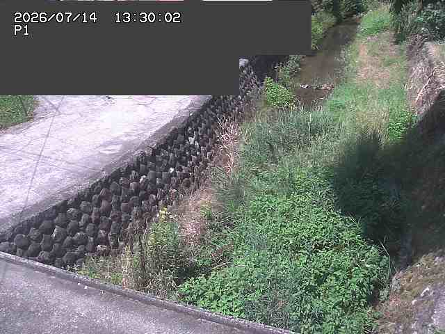 新興寺谷川１2026/07/14 15:20:00