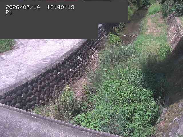 新興寺谷川１2026/07/14 15:20:00