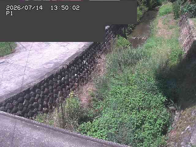 新興寺谷川１2026/07/14 15:20:00