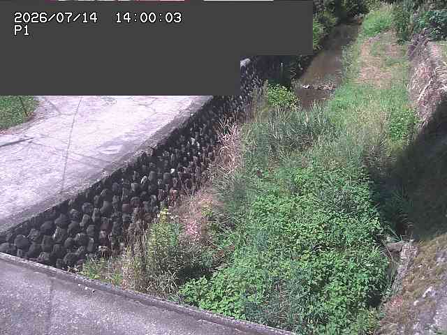 新興寺谷川１2026/07/14 15:20:00