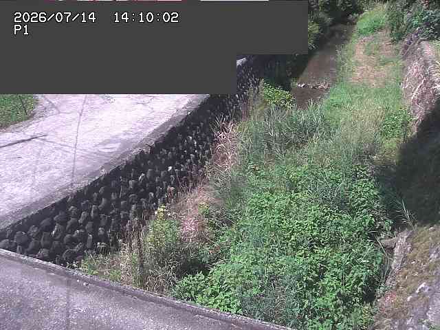 新興寺谷川１2026/07/14 15:20:00