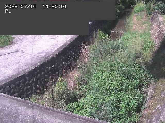 新興寺谷川１2026/07/14 15:20:00