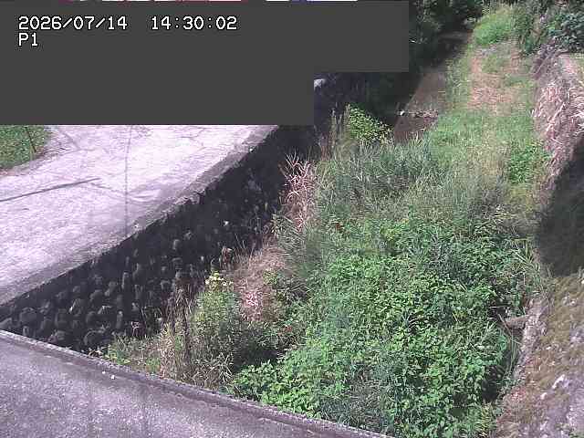 新興寺谷川１2026/07/14 15:20:00