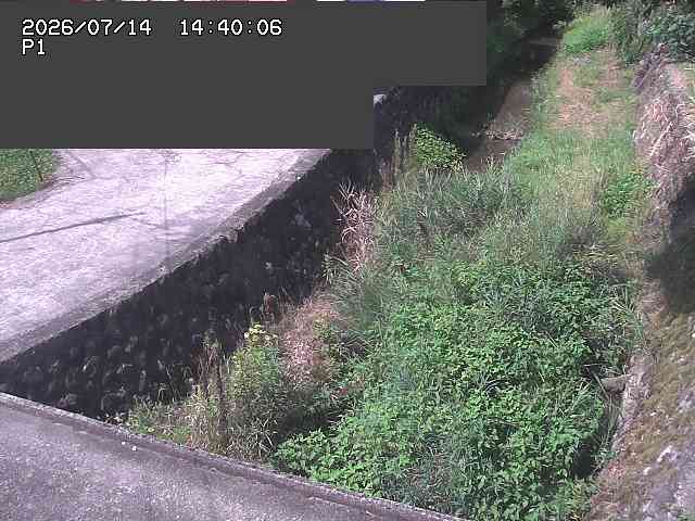 新興寺谷川１2026/07/14 15:20:00