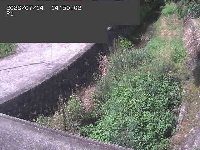 新興寺谷川１2026/07/14 15:20:00
