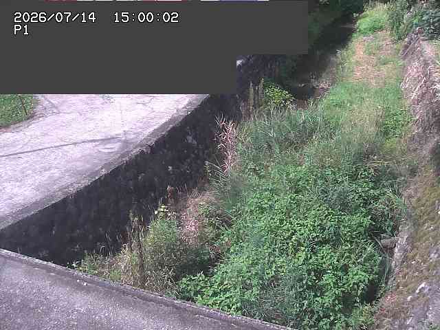 新興寺谷川１2026/07/14 15:20:00