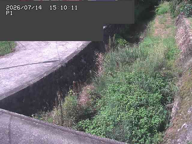 新興寺谷川１2026/07/14 15:20:00