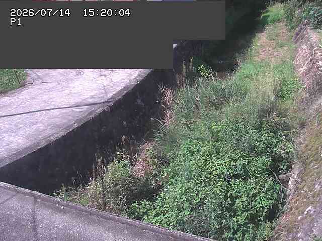 新興寺谷川１2026/07/14 15:20:00