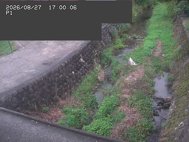 新興寺谷川１2026/08/28 17:30:00