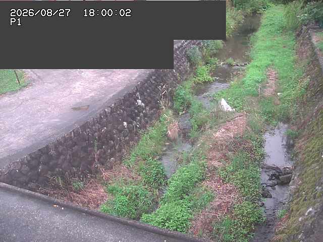 新興寺谷川１2026/08/28 17:30:00