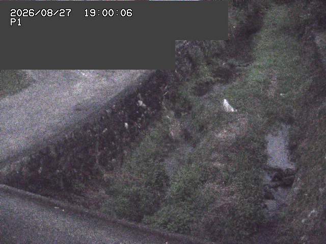 新興寺谷川１2026/08/28 17:30:00