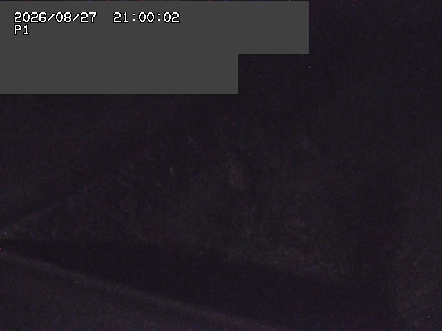 新興寺谷川１2026/08/28 17:30:00