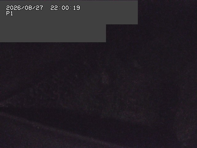 新興寺谷川１2026/08/28 17:30:00
