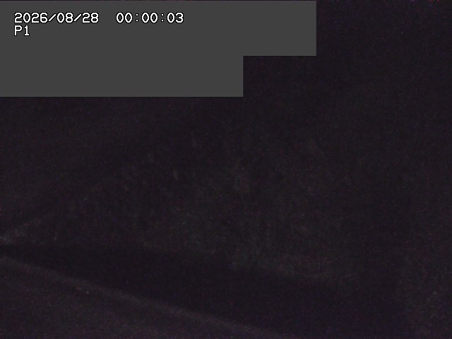 新興寺谷川１2026/08/28 17:30:00