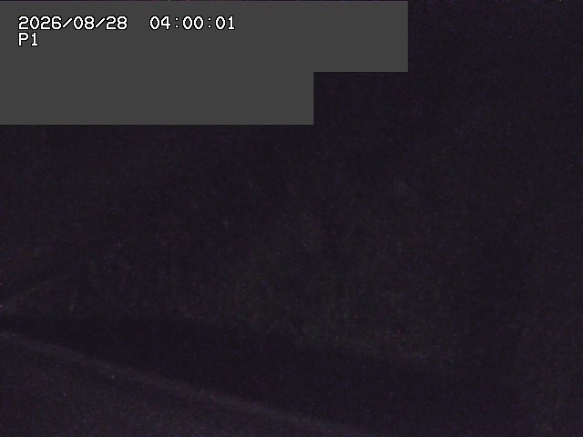 新興寺谷川１2026/08/28 17:30:00