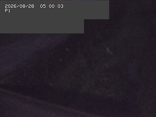 新興寺谷川１2026/08/28 17:30:00