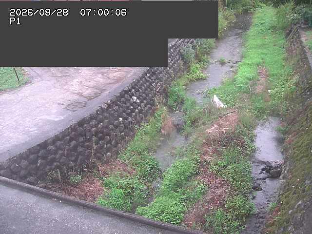 新興寺谷川１2026/08/28 17:30:00