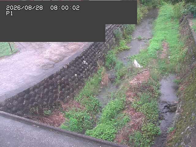 新興寺谷川１2026/08/28 17:30:00