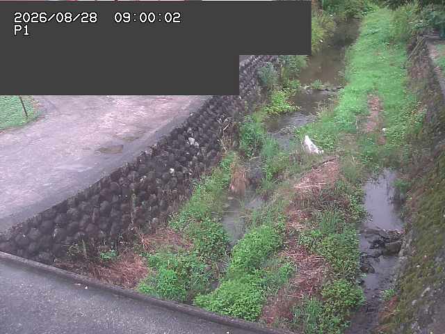 新興寺谷川１2026/08/28 17:30:00