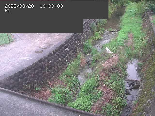新興寺谷川１2026/08/28 17:30:00