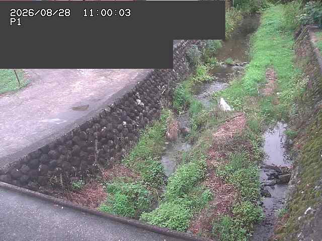 新興寺谷川１2026/08/28 17:30:00