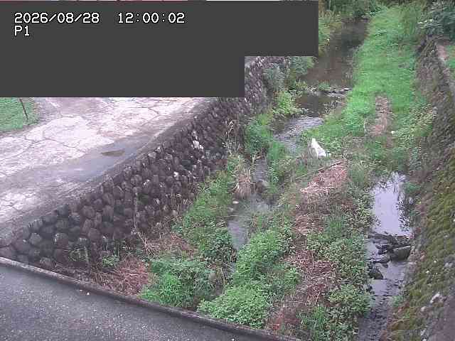 新興寺谷川１2026/08/28 17:30:00