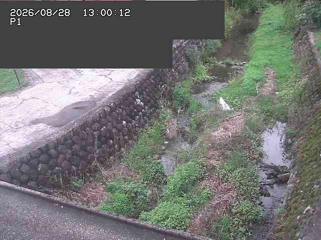 新興寺谷川１2026/08/28 17:30:00