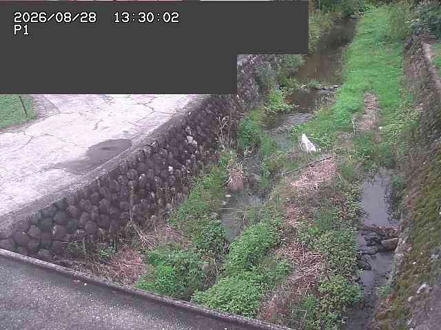 新興寺谷川１2026/08/28 17:30:00