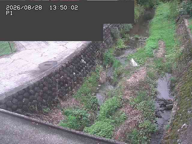 新興寺谷川１2026/08/28 17:30:00