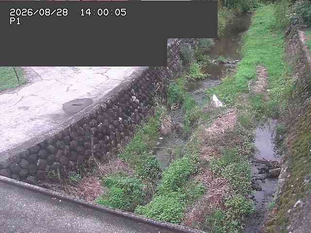 新興寺谷川１2026/08/28 17:30:00