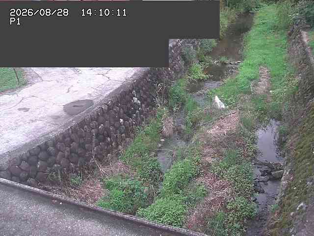 新興寺谷川１2026/08/28 17:30:00