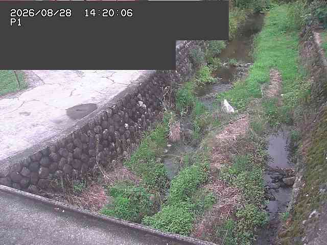 新興寺谷川１2026/08/28 17:30:00