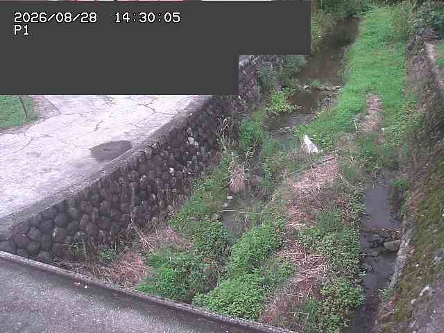 新興寺谷川１2026/08/28 17:30:00