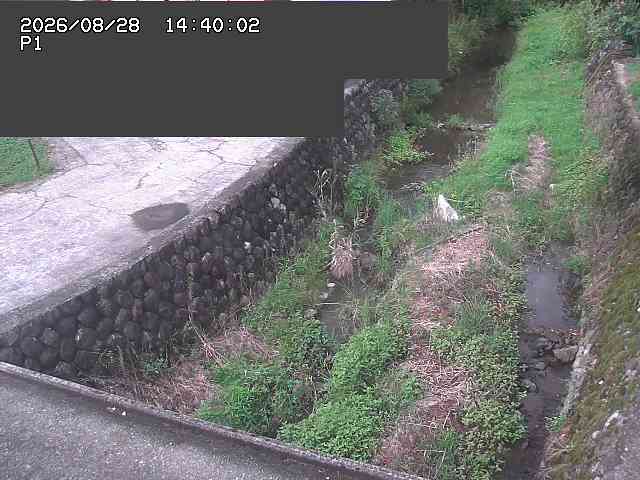 新興寺谷川１2026/08/28 17:30:00